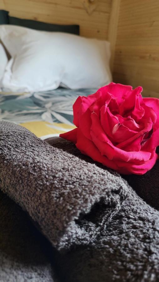 Gite De La Roulotte De L'Epine Dallon Ngoại thất bức ảnh